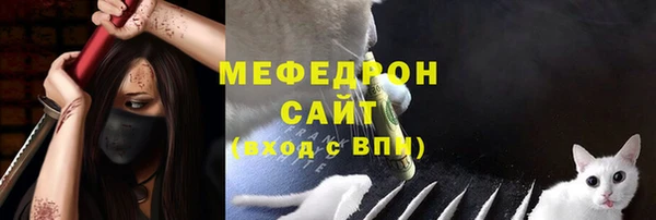 ECSTASY Дмитриев