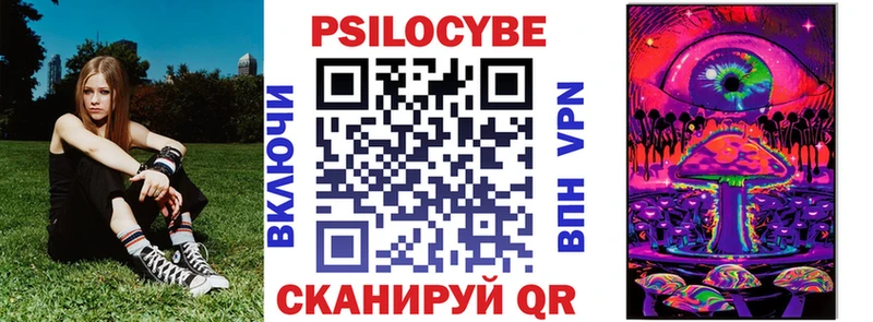 Галлюциногенные грибы Psilocybe  Рошаль 